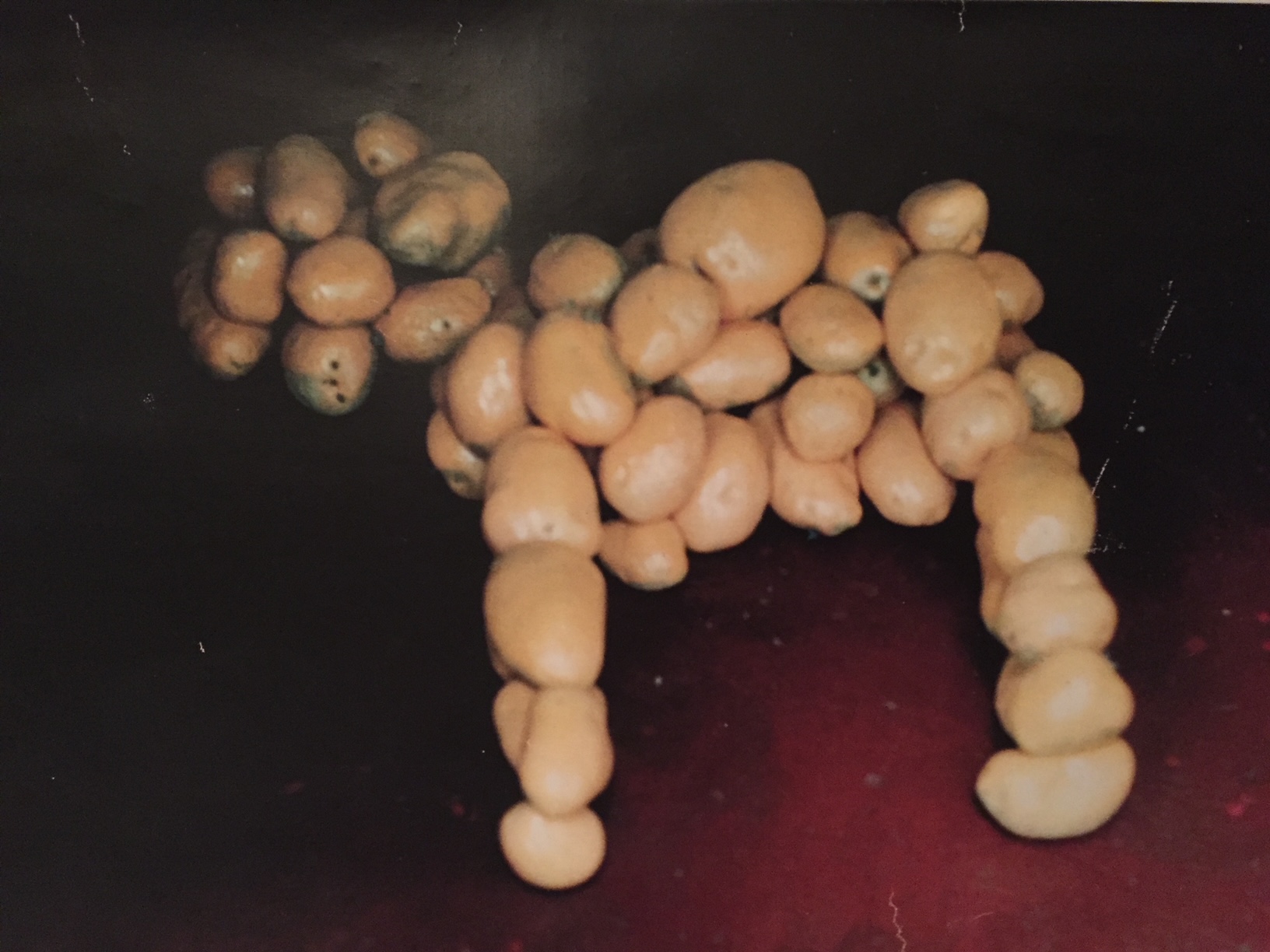 Chantal Hoefs – Pudelskern